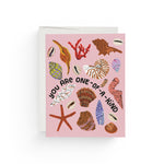 JONES + CO Special Seashell Card featuring colorful illustrated shells and coral on pink recycled paper.