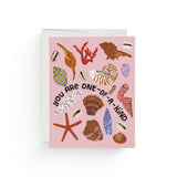 JONES + CO Special Seashell Card featuring colorful illustrated shells and coral on pink recycled paper.