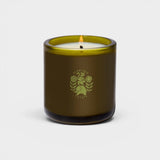 JONES + CO Climbing Tuscan Rosemary scented candle in a dark green glass vessel with a botanical logo design.