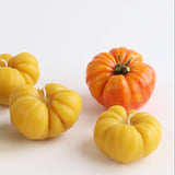 Heirloom Tomato Beeswax Candle