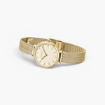 JONES + CO Beverly gold mesh watch with a round dial and tapered woven bracelet on a light background.