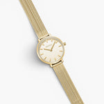 JONES + CO Beverly gold mesh watch with a delicate oval case and champagne dial on a tapered woven bracelet.