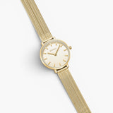 JONES + CO Beverly gold mesh watch with a delicate oval case and champagne dial on a tapered woven bracelet.
