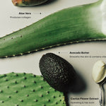 JONES + CO The Body Exfoliant WIRED scrub with rice exfoliators, aloe vera, prickly pear, avocado butter, and cactus flower extract.