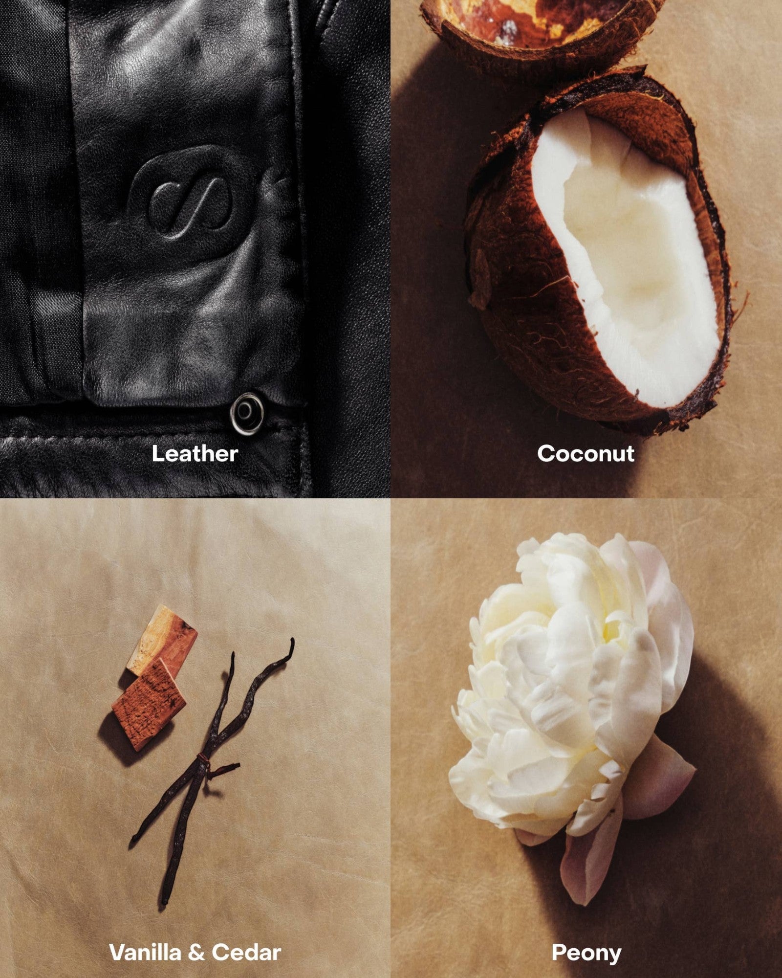 JONES + CO BRALESS Body Mist ingredients: black leather, coconut, vanilla & cedar, and white peony.
