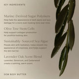 JONES + CO Dew Body Butter with Lavender Oak scent, infused with Olive Tree Stem Cells and Sea Algae for firming and brightening.