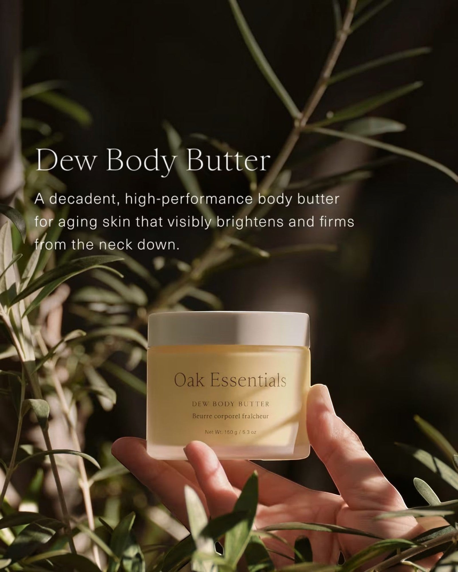 JONES + CO Dew Body Butter in a frosted jar with a white lid, held by a hand amidst greenery. Lavender Oak scent.