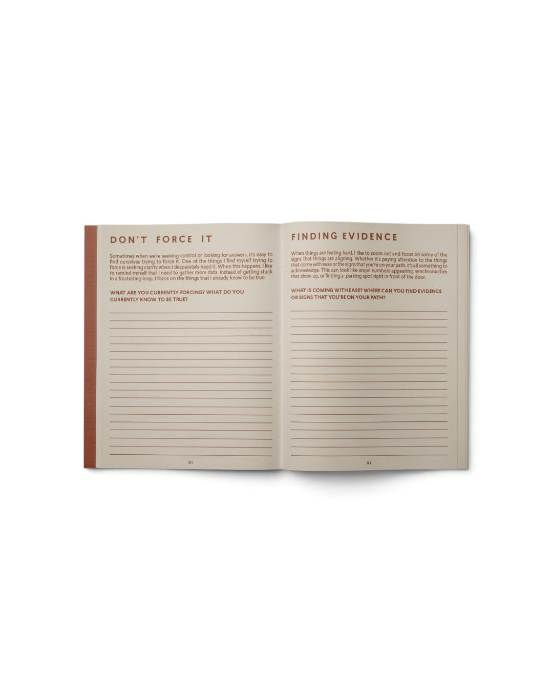 JONES + CO Live Your Vision guided journal open to pages 01 and 02 with prompts for reflection and finding evidence.