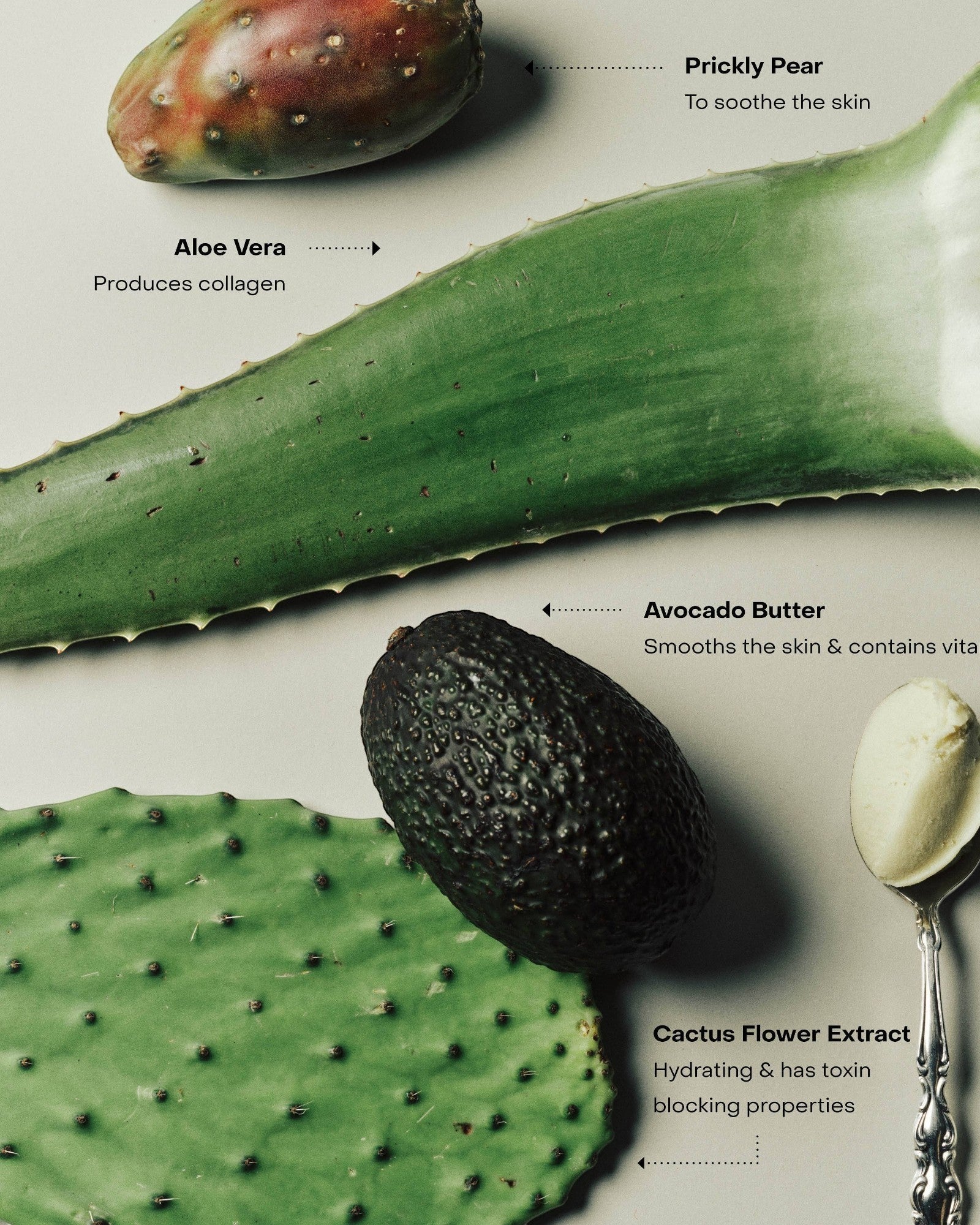 JONES + CO The Hand Serum BRALESS with prickly pear, aloe vera, avocado butter, and cactus flower extract.