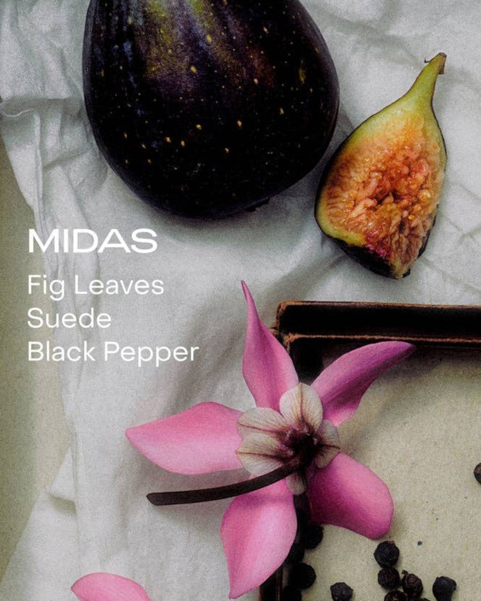 JONES + CO MIDAS Body Mist with fig leaves, suede, black pepper, and pink flower.