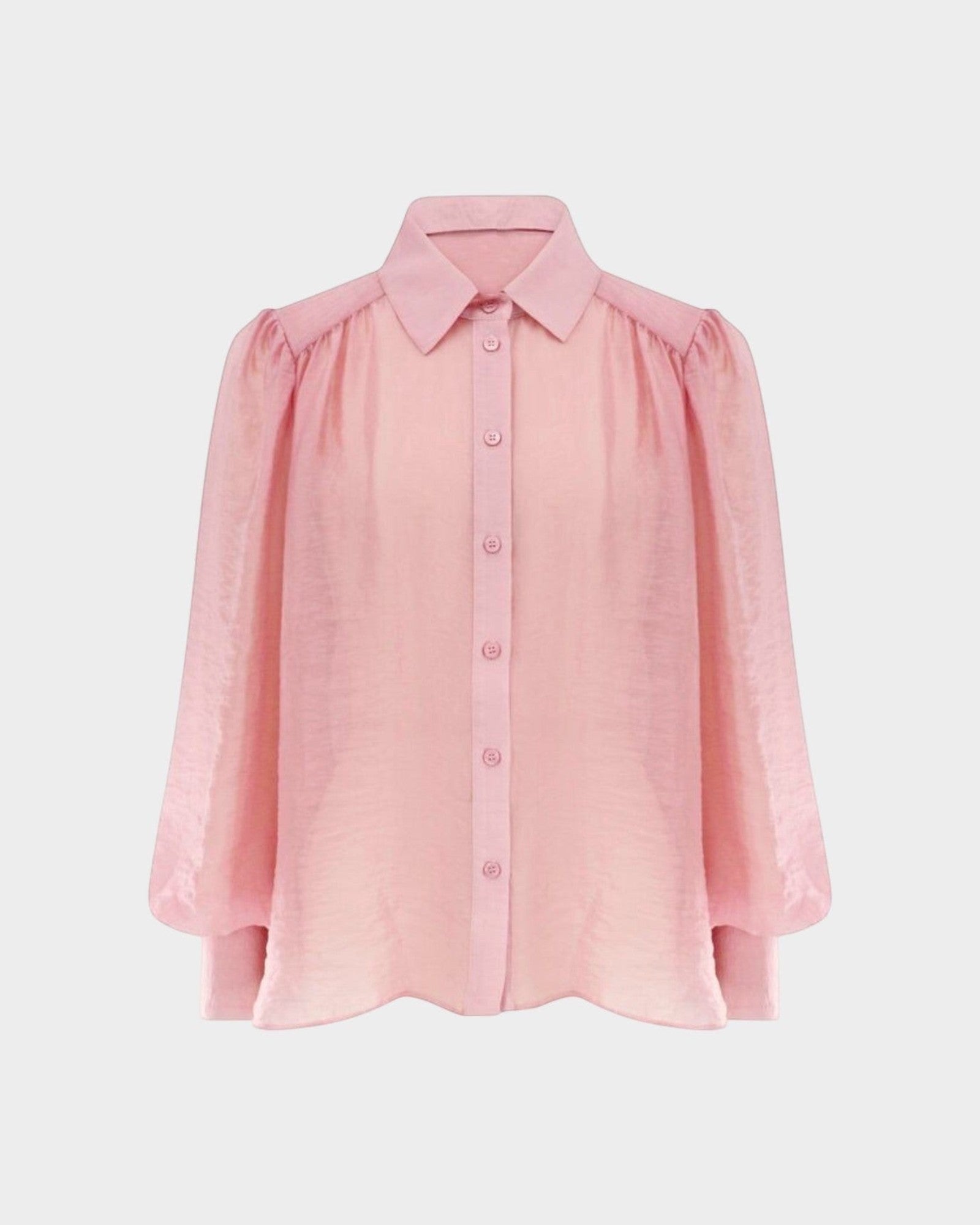 JONES + CO pink sheer button-up shirt with voluminous sleeves and crinkled texture.