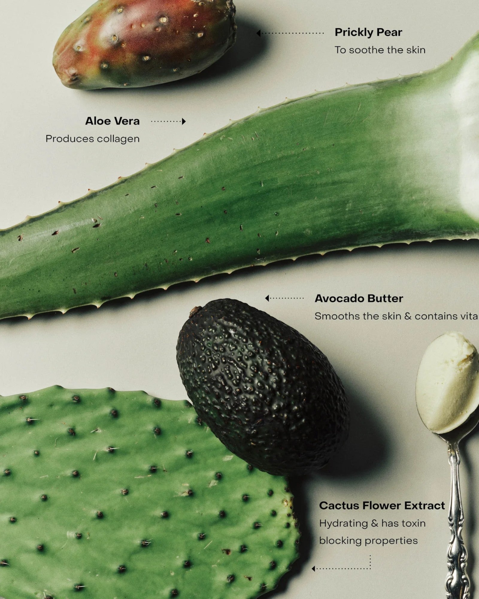 JONES + CO SOAKED Cream with aloe vera, prickly pear, avocado butter, and cactus flower extract.