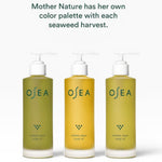 JONES + CO Undaria Algae Body Oil in green and yellow bottles. Fragrance-free, firms skin.