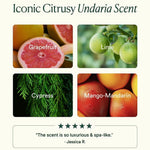 JONES + CO Undaria Body Glow Trio featuring grapefruit, lime, cypress, and mango-mandarin scents for radiant skin.