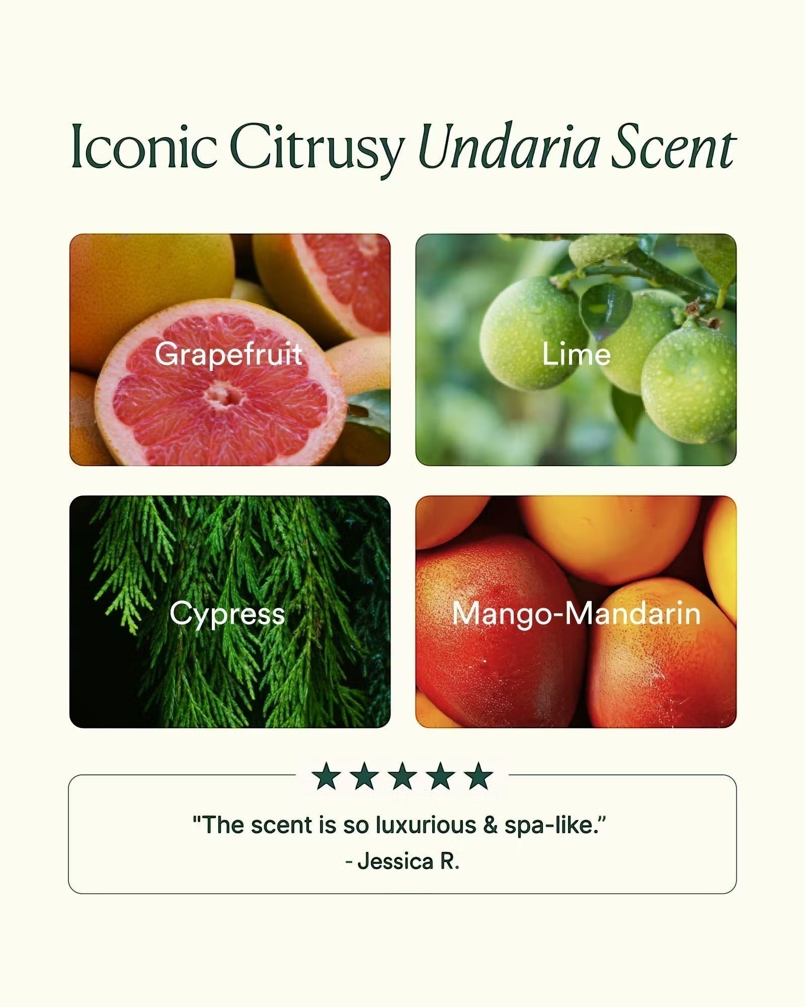 JONES + CO Undaria Body Glow Trio featuring grapefruit, lime, cypress, and mango-mandarin scents for radiant skin.