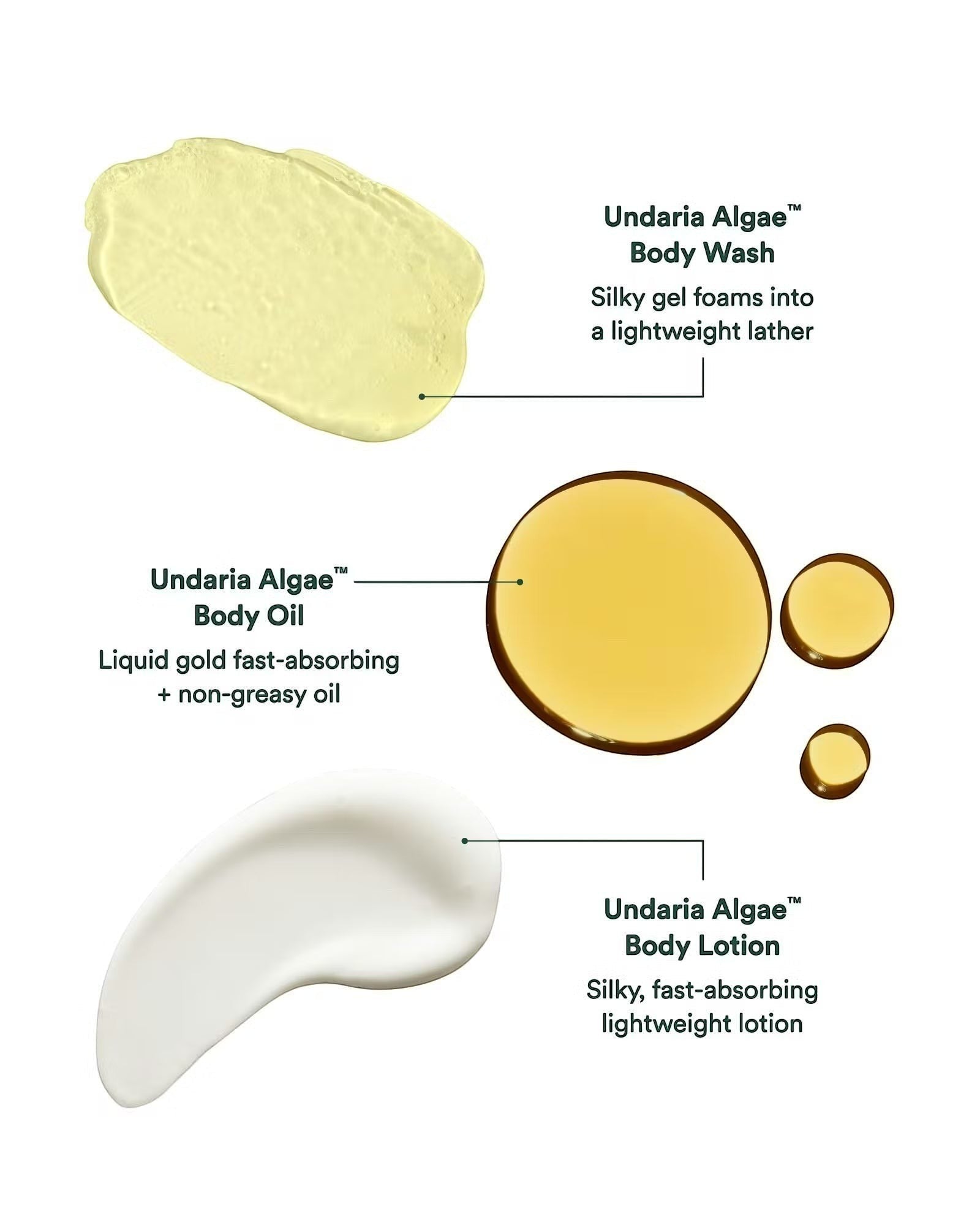 JONES + CO Undaria Body Glow Trio: yellow gel, golden oil, and white lotion swatches for body wash, oil, and lotion.