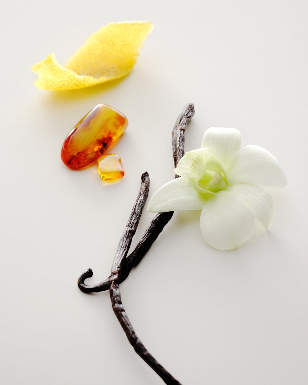 JONES + CO No.15 Vanille Infinie mini perfume oil ingredients: vanilla beans, orchid, amber resin, and lemon zest.