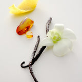 JONES + CO No.15 Vanille Infinie perfume oil ingredients: vanilla beans, orchid, amber, and citrus peel.