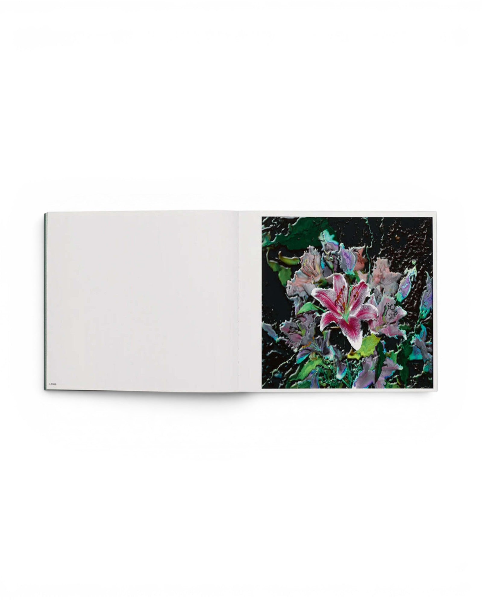 JONES + CO art book open to a page showing a psychedelic digital flower distortion by Lucas Samaras.