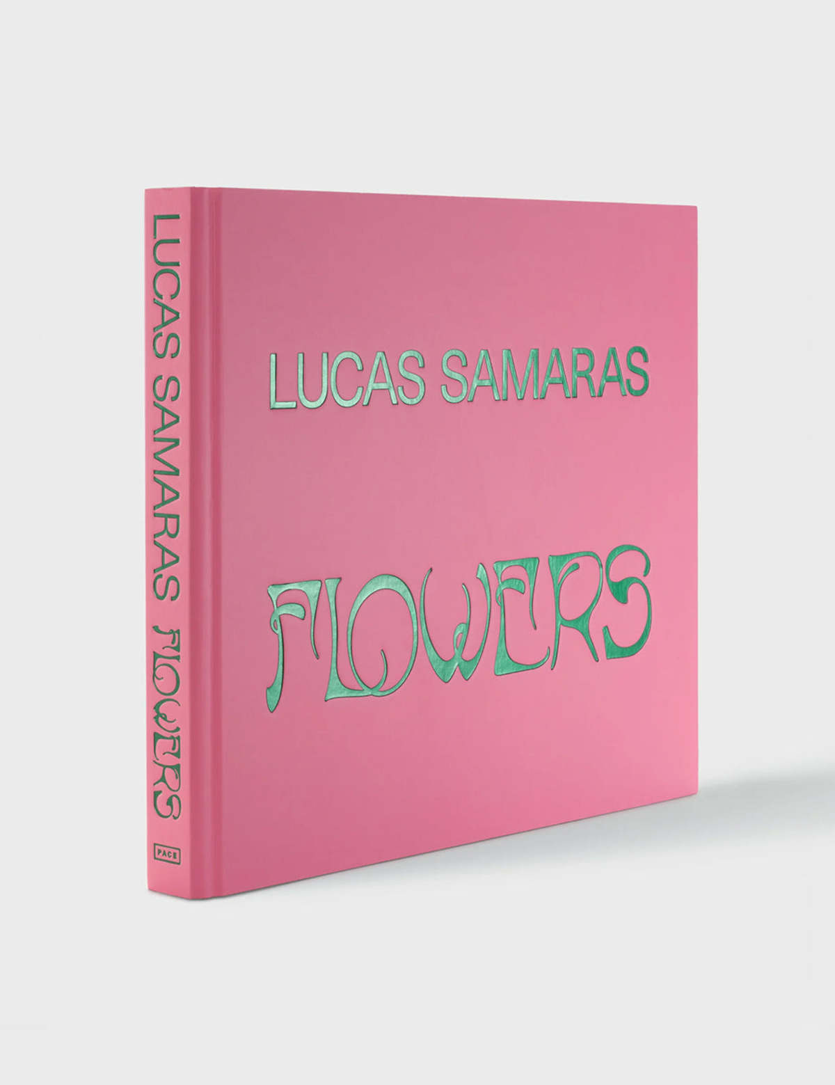 Lucas Samaras: Flowers — view 2