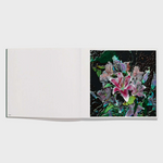 Lucas Samaras: Flowers — view 4