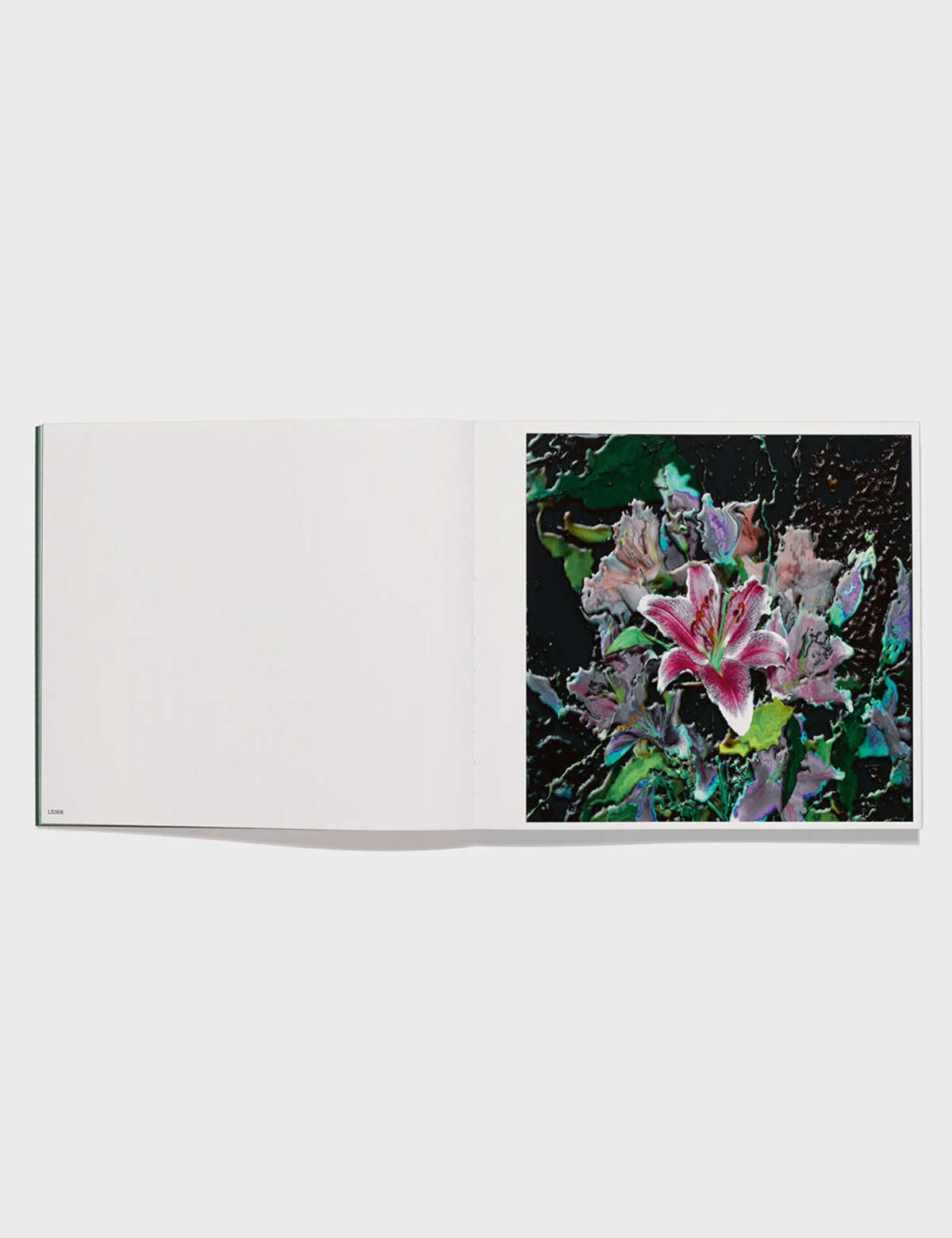 Lucas Samaras: Flowers — view 4