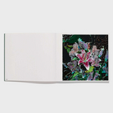 Lucas Samaras: Flowers — view 4