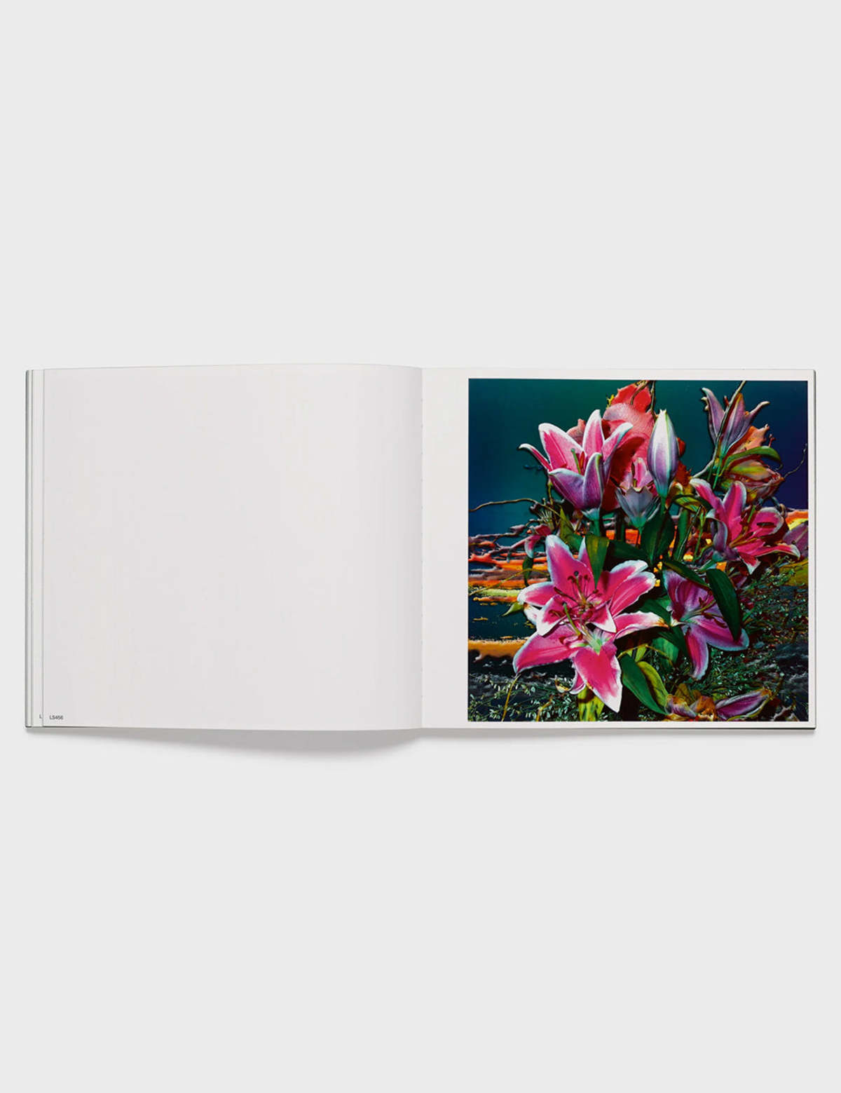 Lucas Samaras: Flowers — view 5