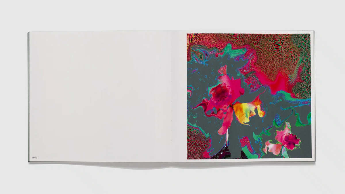 Lucas Samaras: Flowers — view 3