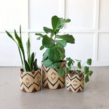 Ruzizi Storage Plant Basket