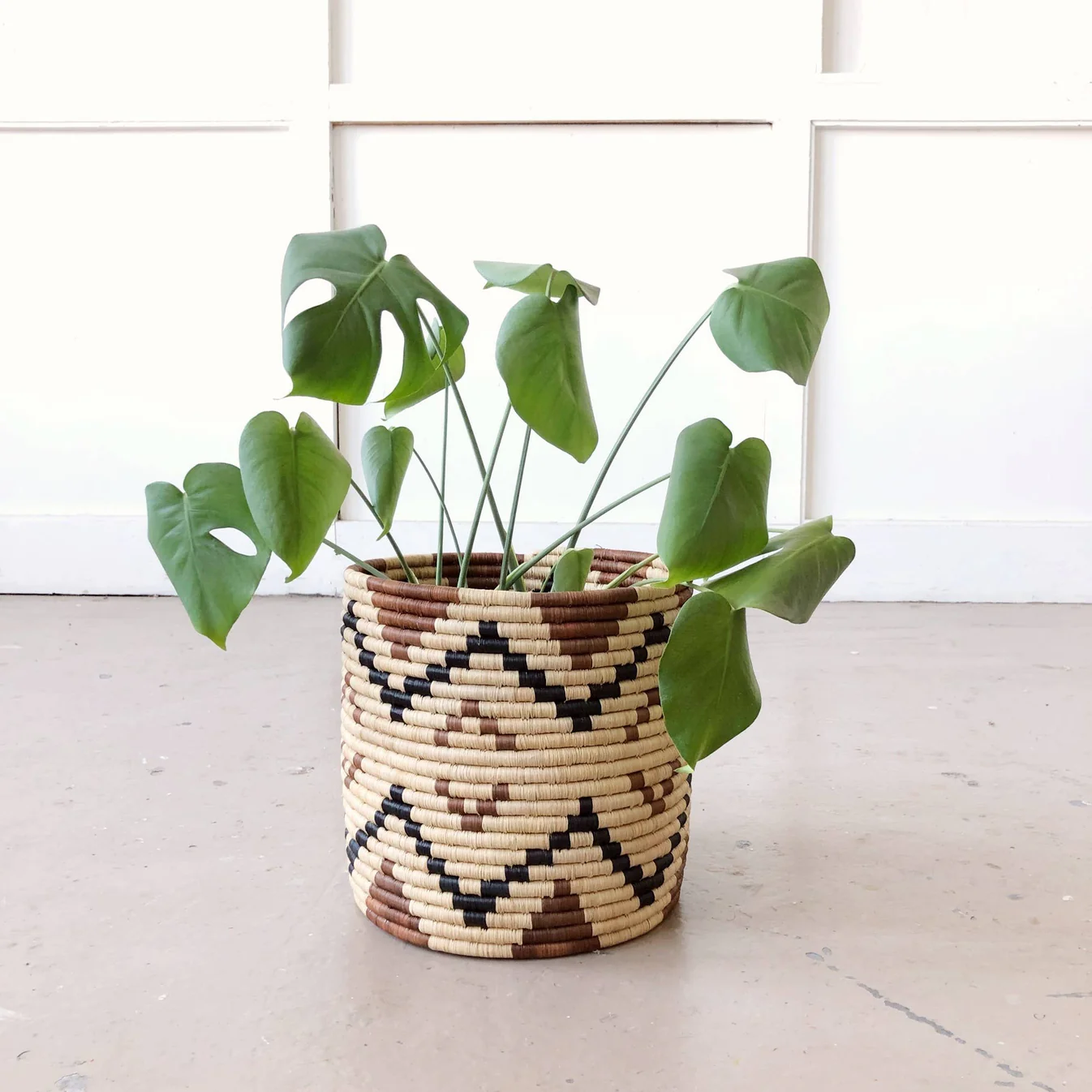 Ruzizi Storage Plant Basket