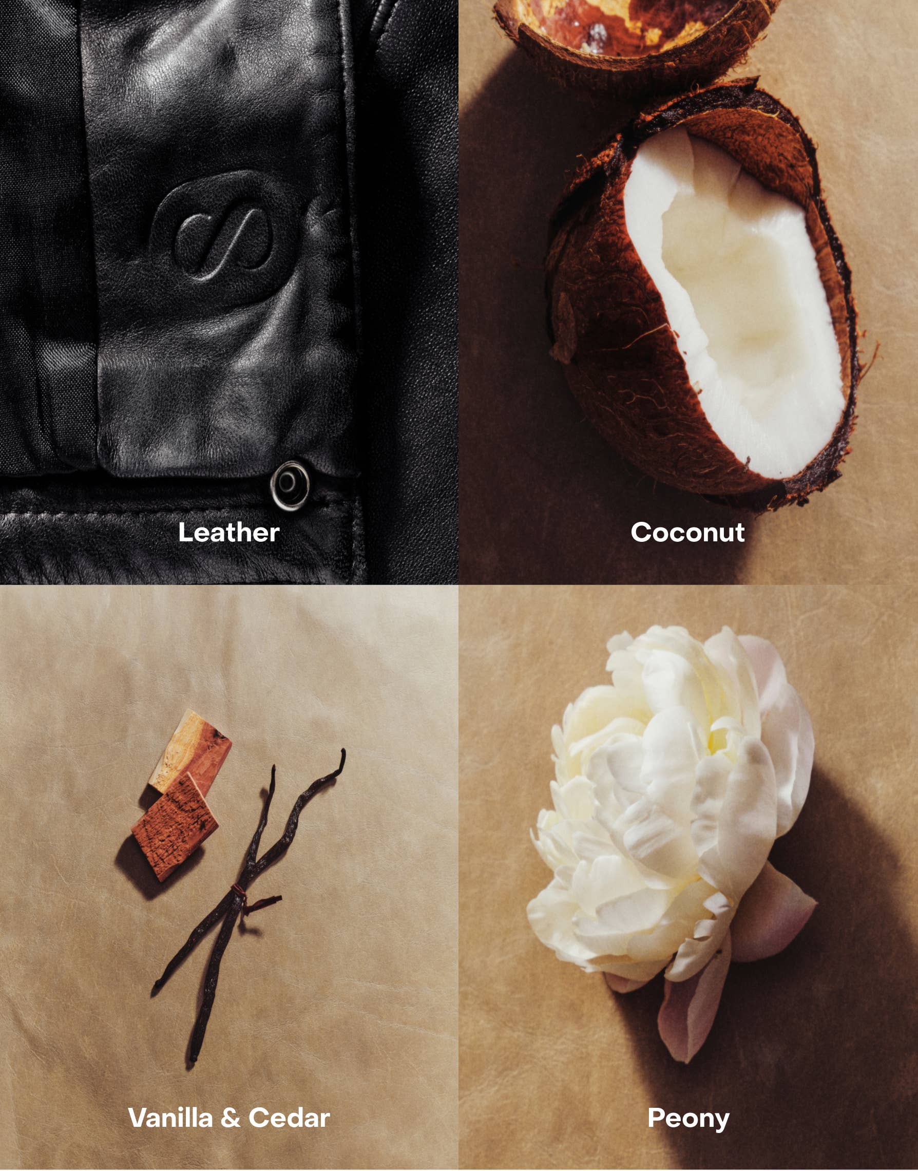 Four scents represented by images of leather, coconut, vanilla & cedar, and peony on a textured background.