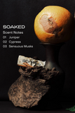 The Auto Fragrance - SOAKED