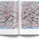 Damien Hirst: Cerisiers en fleurs — view 3