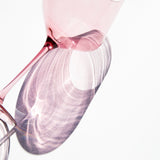 Close up of Rose Wine Glasses