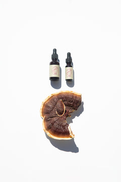 Reishi Mushroom Tincture