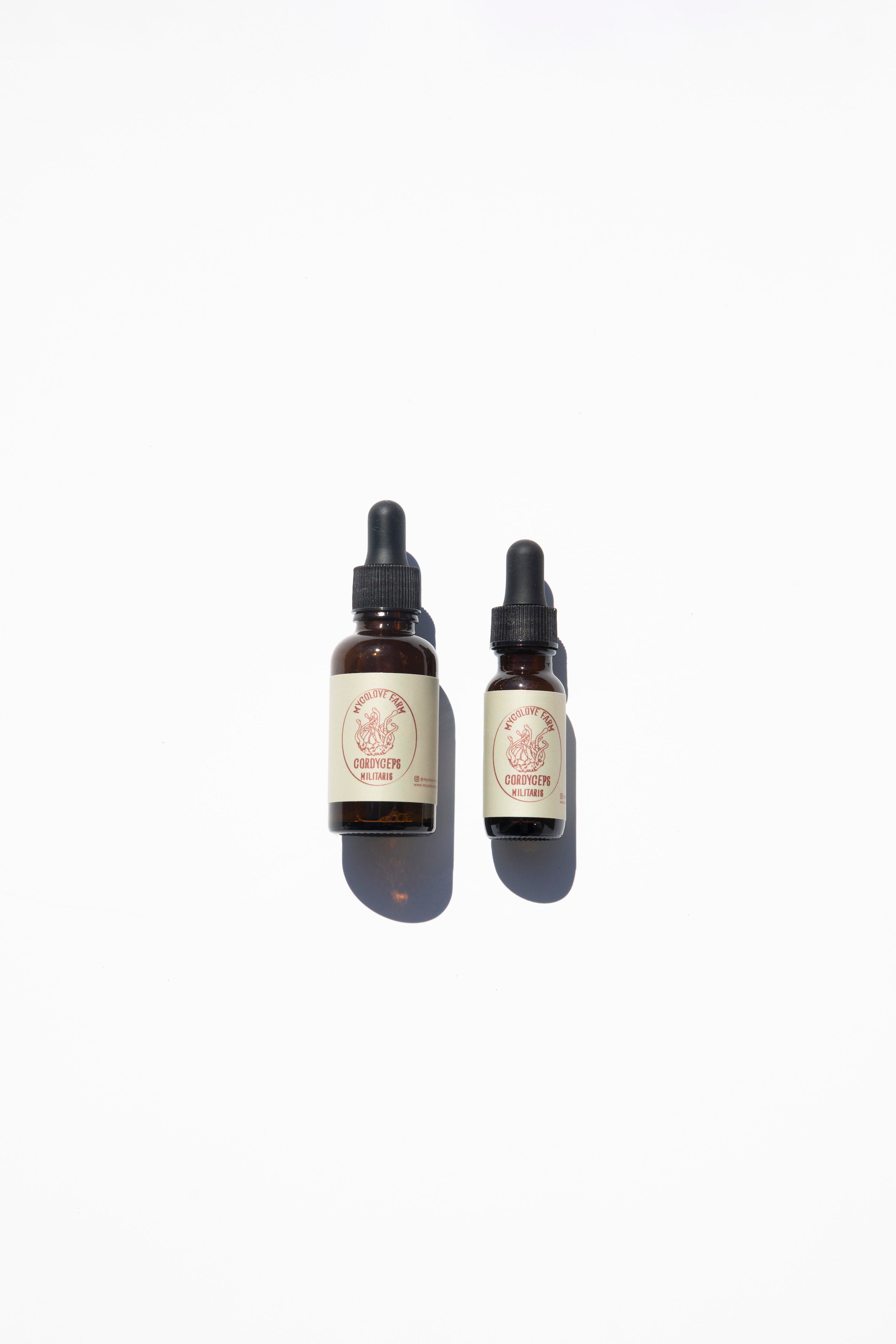 Cordyceps Mushroom Tincture in two sizes