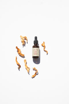 Cordyceps Mushroom Tincture